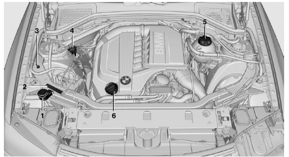 BMW X3. Important features in the engine compartment